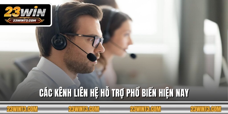 Các kênh liên hệ hỗ trợ phổ biến hiện nay